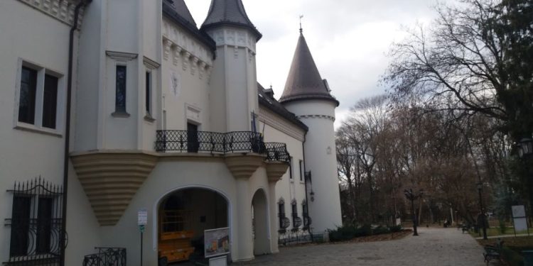 Acoperișul potrivit unui monument de excepție – CASTELUL din CAREI