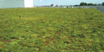 Asociația Constructorilor de Acoperișuri, Pereți și Fațade Verzi