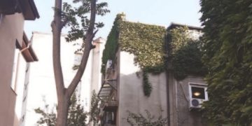 Cum ne ferim de indiscreția vecinilor