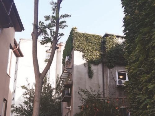 Cum ne ferim de indiscreția vecinilor