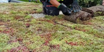 Zilele Horticulturii Bucureștene 2025